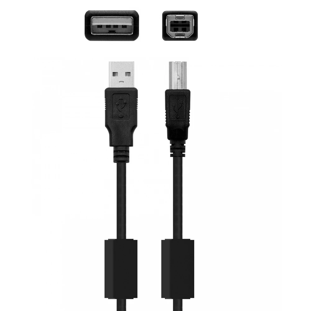 Signa Ponte Pronto Entro Fine Anno "Struttura Da 70 Metri Per 1,8 Milioni