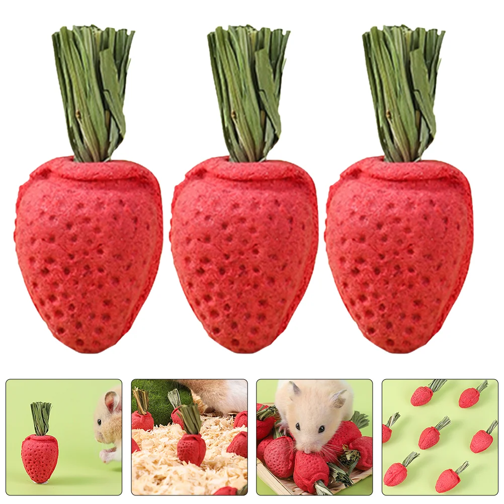 

3 Pcs Pet Treats Hamster Teething Toy Guinea Pig Toys Chinchillar Small Animal Molar Hay Parrots Chew