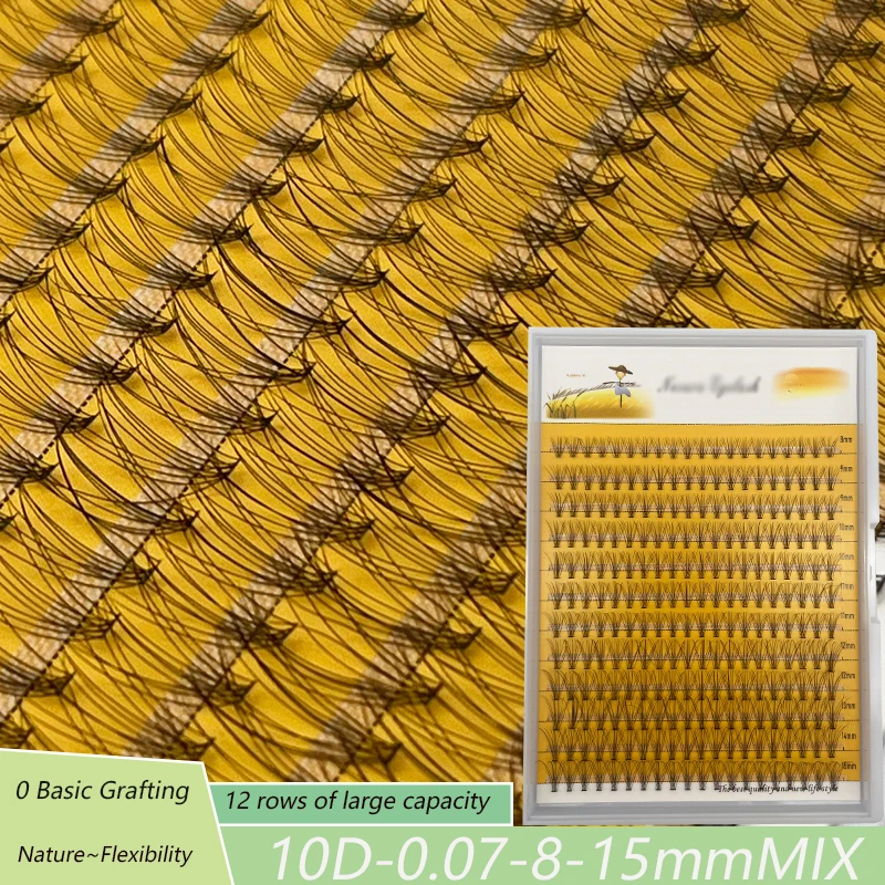 

10D Individual Eyelashes Imported Material 0.1 0.07MM Thickness False Eyelash 8 To 15mm Premade Volume Fans for Make Up