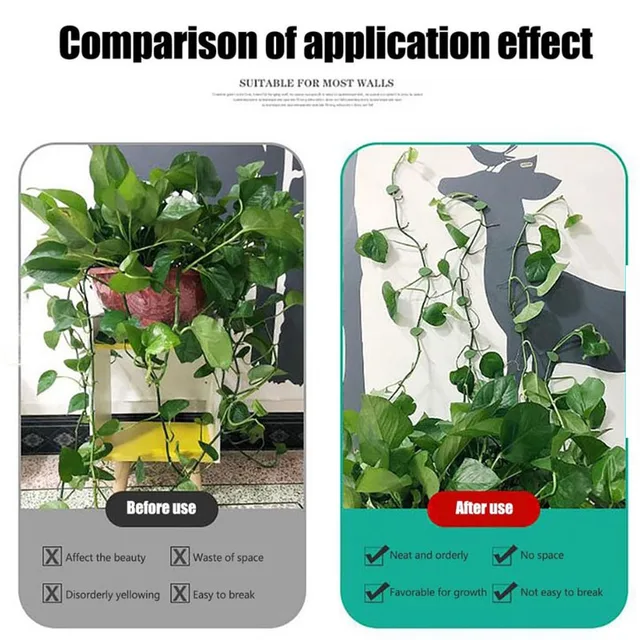 Levelek A Növény Rögzítését Tartó / Zöld Növényi Horog Szőlő Vontató - Image 4