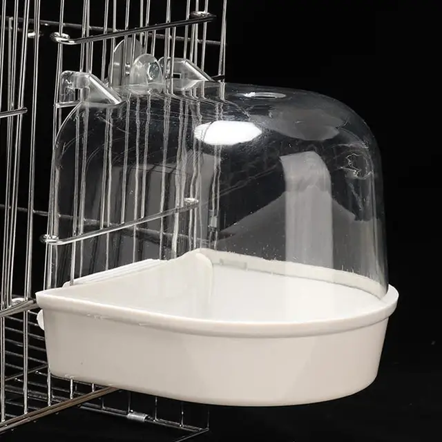 Bird Bath 3