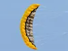 2.5m dual line stunt power kite outdoor play kites flying flugdrachen deportes-y-ocio cometas de viento infantil kite reel hoka 5