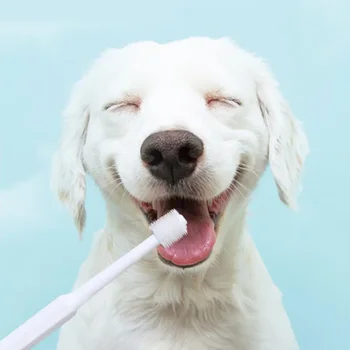 360° Pet Toothbrush 1