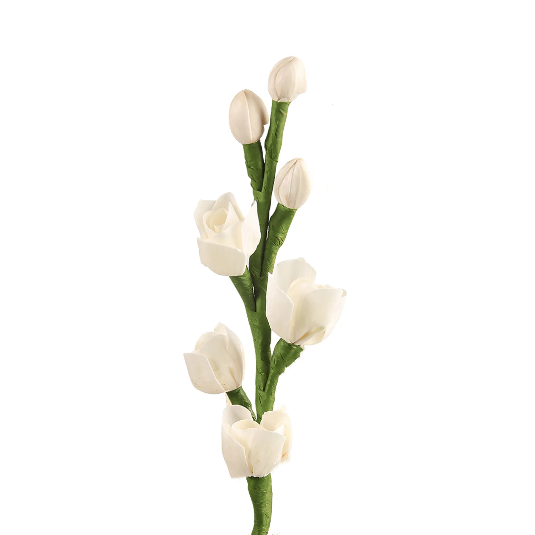 Reed diffuser Sticks Handmade Green Stem Sola white rose wood Flower diffuser sticks Rattan sticks for room fragrance and home d