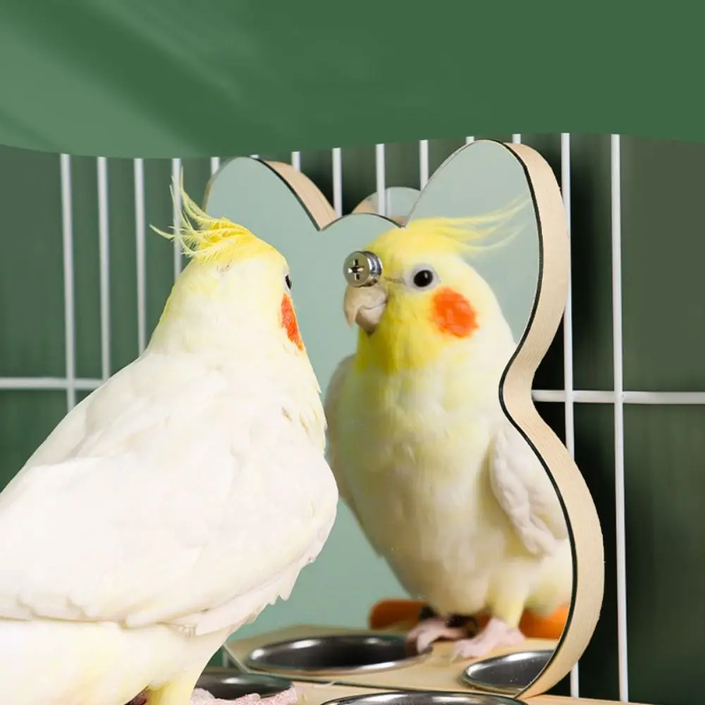 Wood Parrots Mirror with Feeder Cups Removable Hanging Bird Feeding Cups Clamp Bird Mirror Food Bowl Parrot stand Self-happy