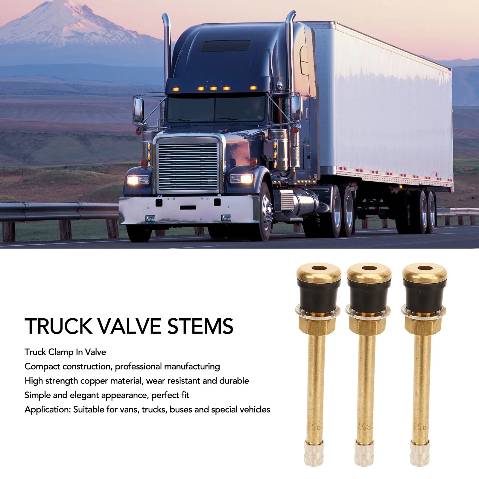 20PCS Truck Clamp In Valve Compact Structure For Cars Buses Special Vehicles Brass Truck Valve Stem Stems