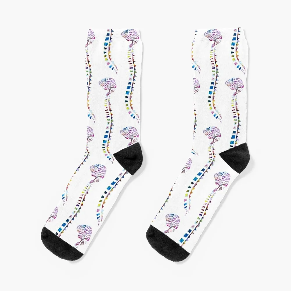 Funfetti Brain and Spine (White Pattern) Socks winter thermal halloween Designer Man Socks Women's