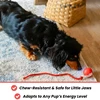 Tiny Fetch Dog Toy Pet Interactive Automatic Teasing Ball Cat Dog Self-soothing Toy Smart Rolling Electric Chew Proof Dogs Toy 4