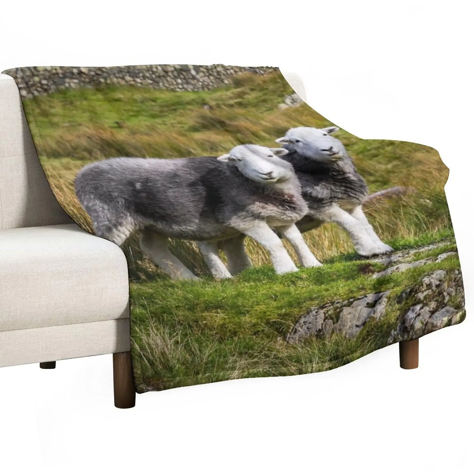 

Herdwick Sheep Landscape Throw Blanket blankets and throws Weighted Blanket manga Cute Blanket Plaid