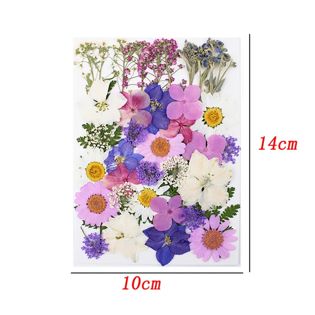 1Bag Dried Flowers Pressed Flowers Stickers for DIY Phone Case Epoxy Resin  Filling Pendant Jewelry Making Crafts Nail Art Decor