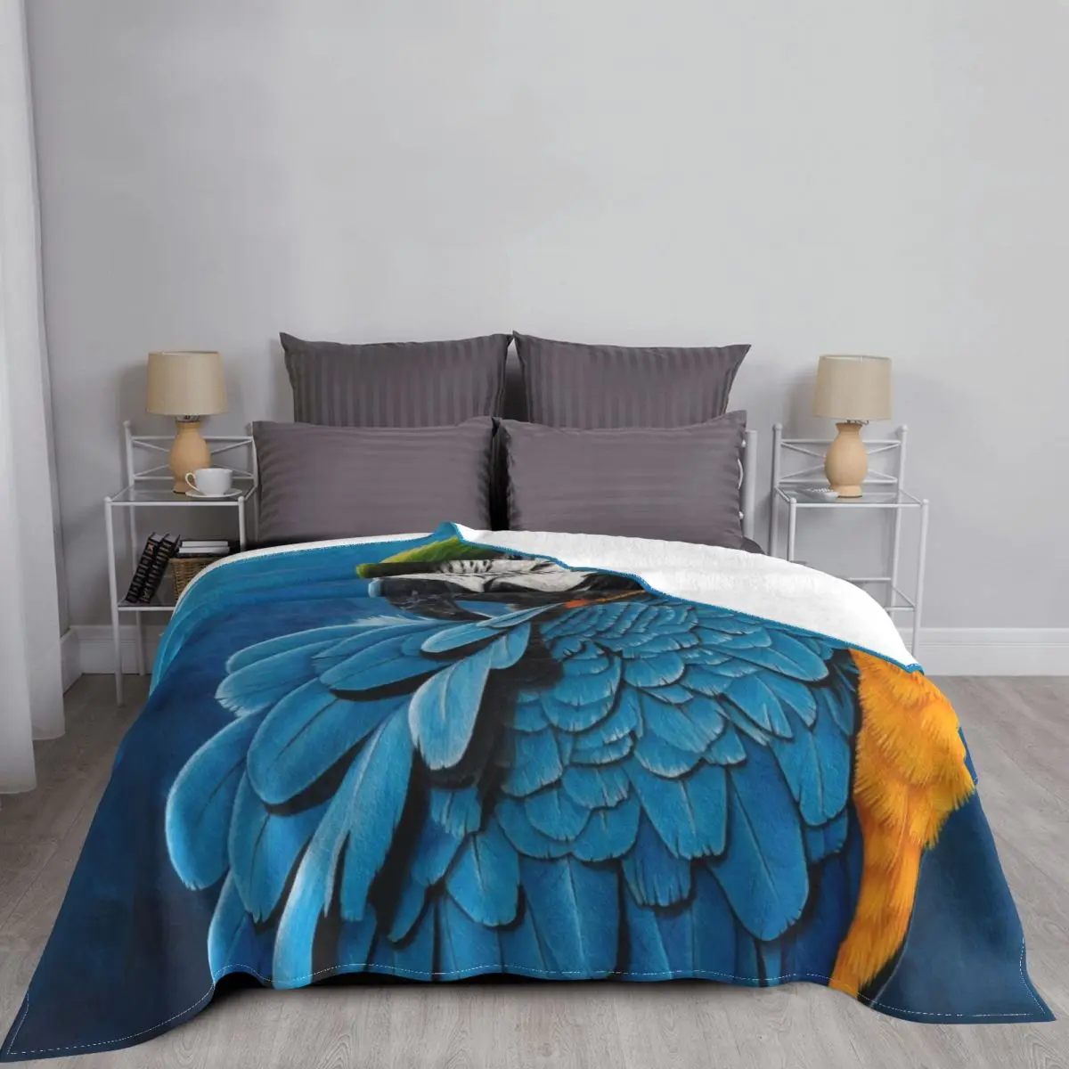 �� ���� ���, ���� �� ��� ���� �ʻ�ȭ ������ ���