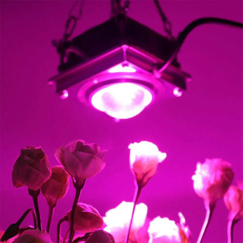 Рисунок 3 - Фитолампа для растений