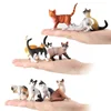 Simulation cat model set Play kitten model fake cat display animal black and white kitten toy 4