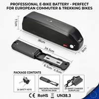 Batterie lithium pour vélo électrique 2026, nouvelle batterie Hailong originale 48V 20Ah haute puissance, compatible avec moteur tsdz8 250-1000w à huit côtés, avec chargeur, livraison rapide et sans taxes. 3