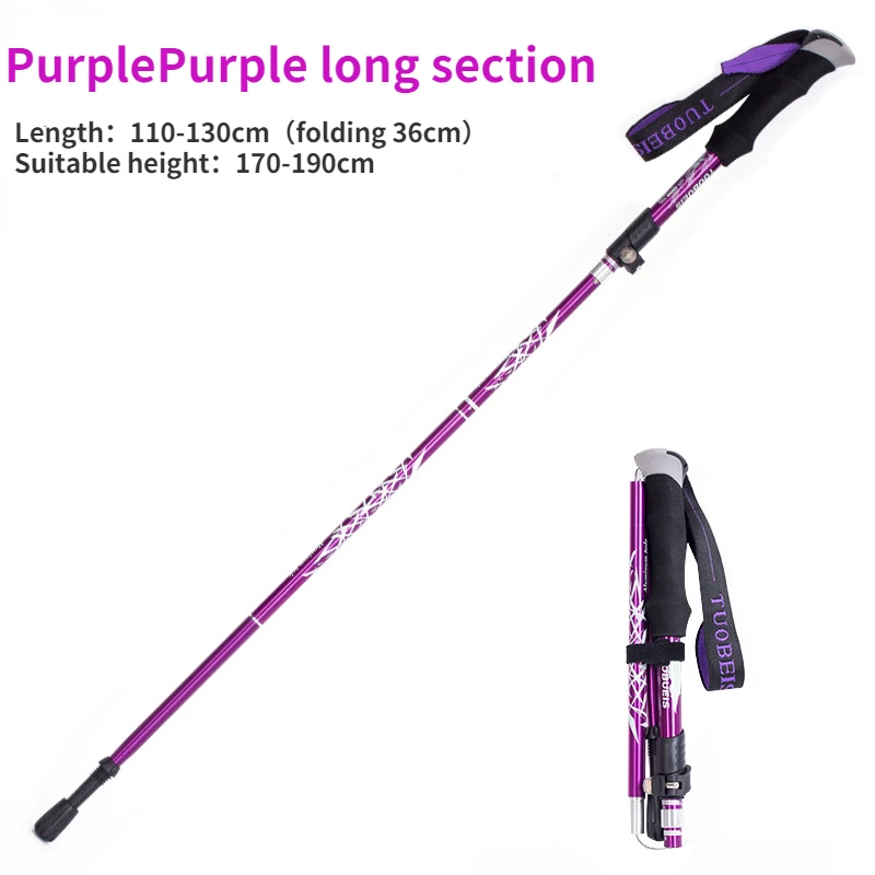Purple long section