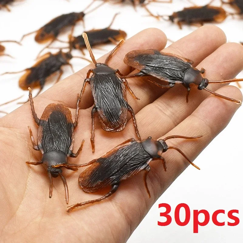 Cockroach-30pcs