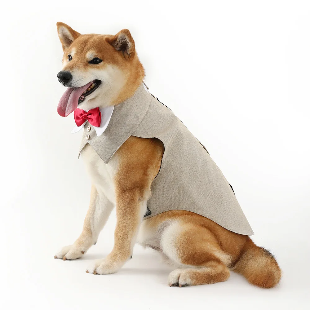 Pets Harness Vest Set - PeticaDeals