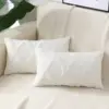 HAPIHAPPY Winter Decorative Throw Pillow Covers 18X18 Set of 1 Bed Sofa Living Room Throw Pillow Covers Soft Plush Pillow Covers 6
