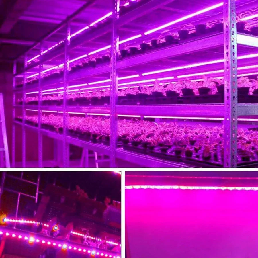 USB LED 풀 스펙트럼 방수 LED 칩, 식물 조명, 온실 꽃 묘목 성장 텐트, 수경 재배 LED 스트립, 5V