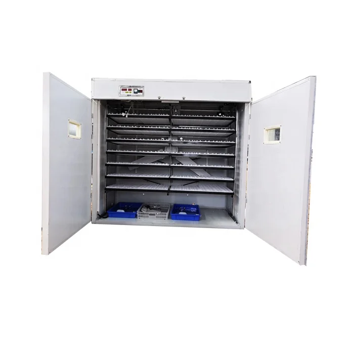 BeYou 상업용 부화 산업용 파충류 3000개 아프리카의 용량 인큐베이터 계란