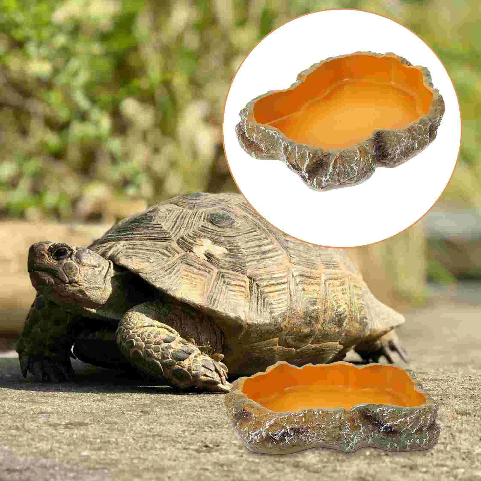 

Large Reptiles Terrarium Food Water Bowl Turtle Habitat Tortoise Feeder Basin Large Reptiles Terrarium Box for Lizard Chameleon
