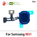 M31 Blue