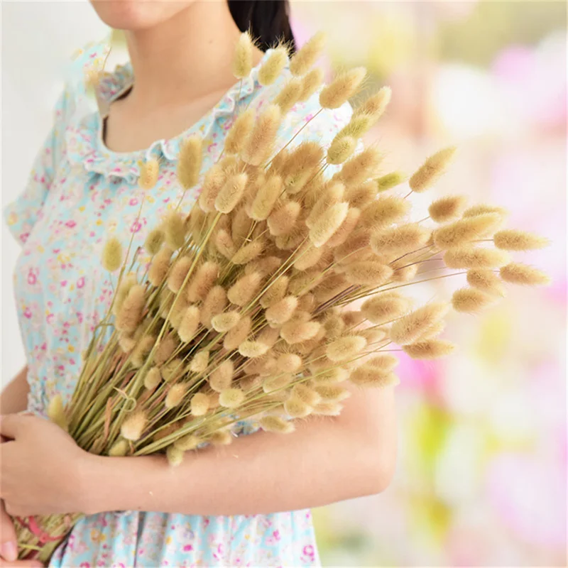 

120Pcs/Lot Dried Flowers Rabbit Bunny Tail Grass Natural Pampas Grass Bouquet Lagurus Ovatus Home Wedding Christmas Decoration