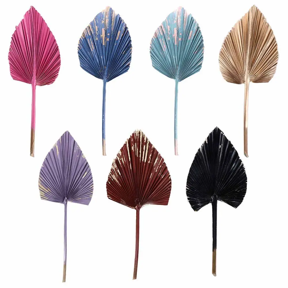 Description Picture 4 of item1 Pcs Bohemian Tropical Fan Leaf Colorful Palm Spears Dried Plant DIY Natural Trimmed Party Decoration Leaves