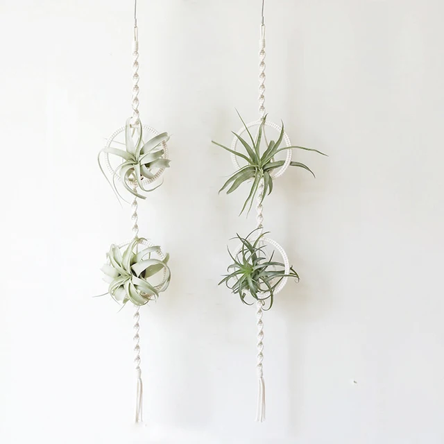 Makrame Növény Tartó Pamutkötél Kosár Függő Légnövények Spanyol Moha Tillandsia Usneoides Virágpot Kosarak Fogas Fali Dekoráció - Image 2