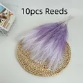 Style 2 Purple