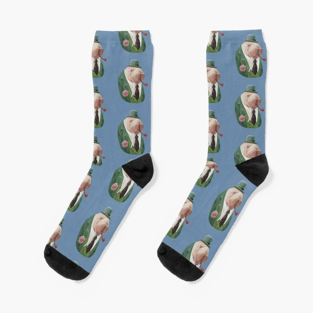 

Walrus Green Socks Anime Socks