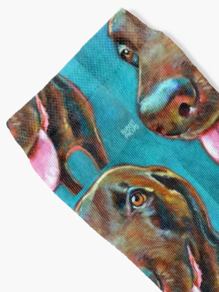 Chocolate Labrador on Blue by Robert Phelps Socks Man socks valentine gift ideas