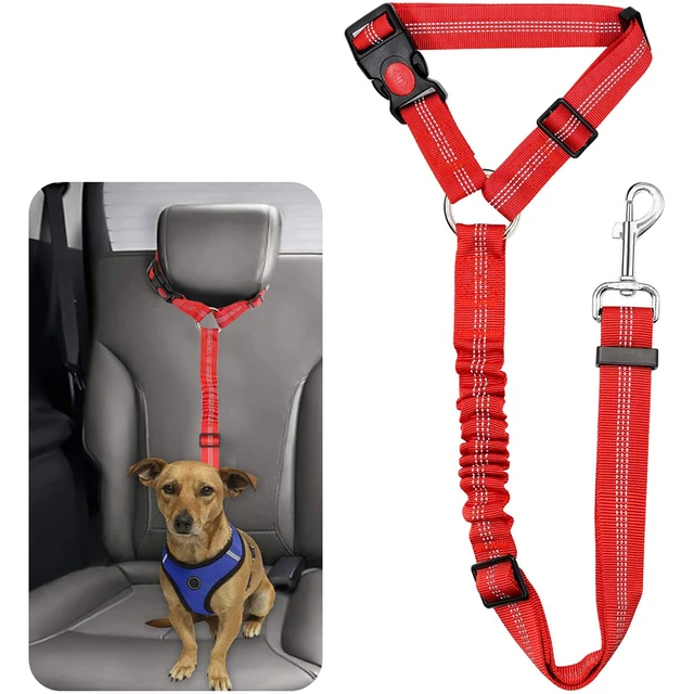 Ceinture de sécurité pour Chien pour Voiture - Ceinture de sécurité pour  Chien - Ceinture élastique réfléchissante avec Crochet pour Toutes Les  Races