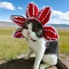 Pet Hat Costume Demogorgon Hat Props Headwear Soft Kitten Scary Flowers 6