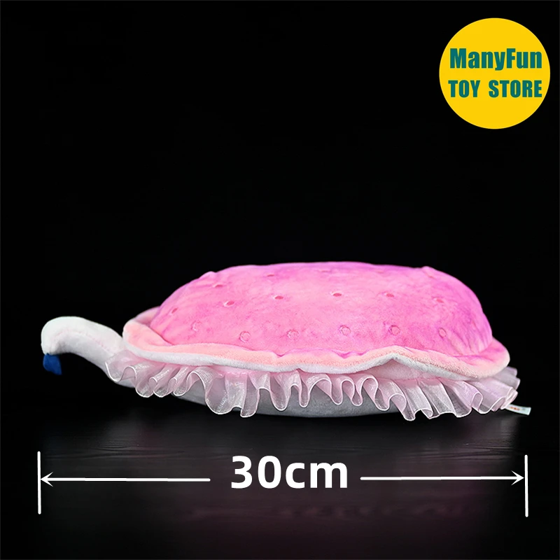 Kimberella Plush Toy High Fidelity Fossil Plushie Worm Peluche Lifelike Stuffed Animals Simulation Doll Kawai Toy Gifts For Kids 2