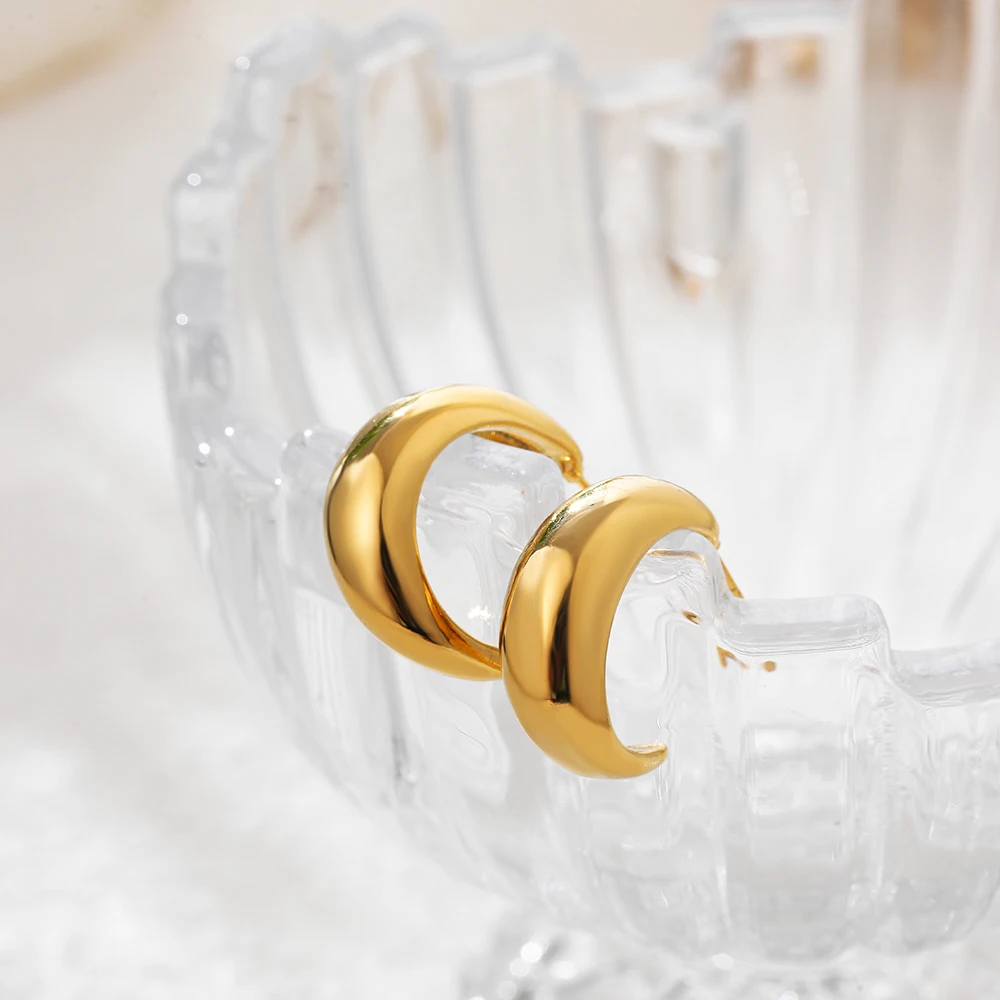 Vintage 18K Gold Plated C Shape Women's Earrings Sleek PVD Stainless Stee Metal Minimalist Ear Hoops Autumn Winter Jewelry Gifts