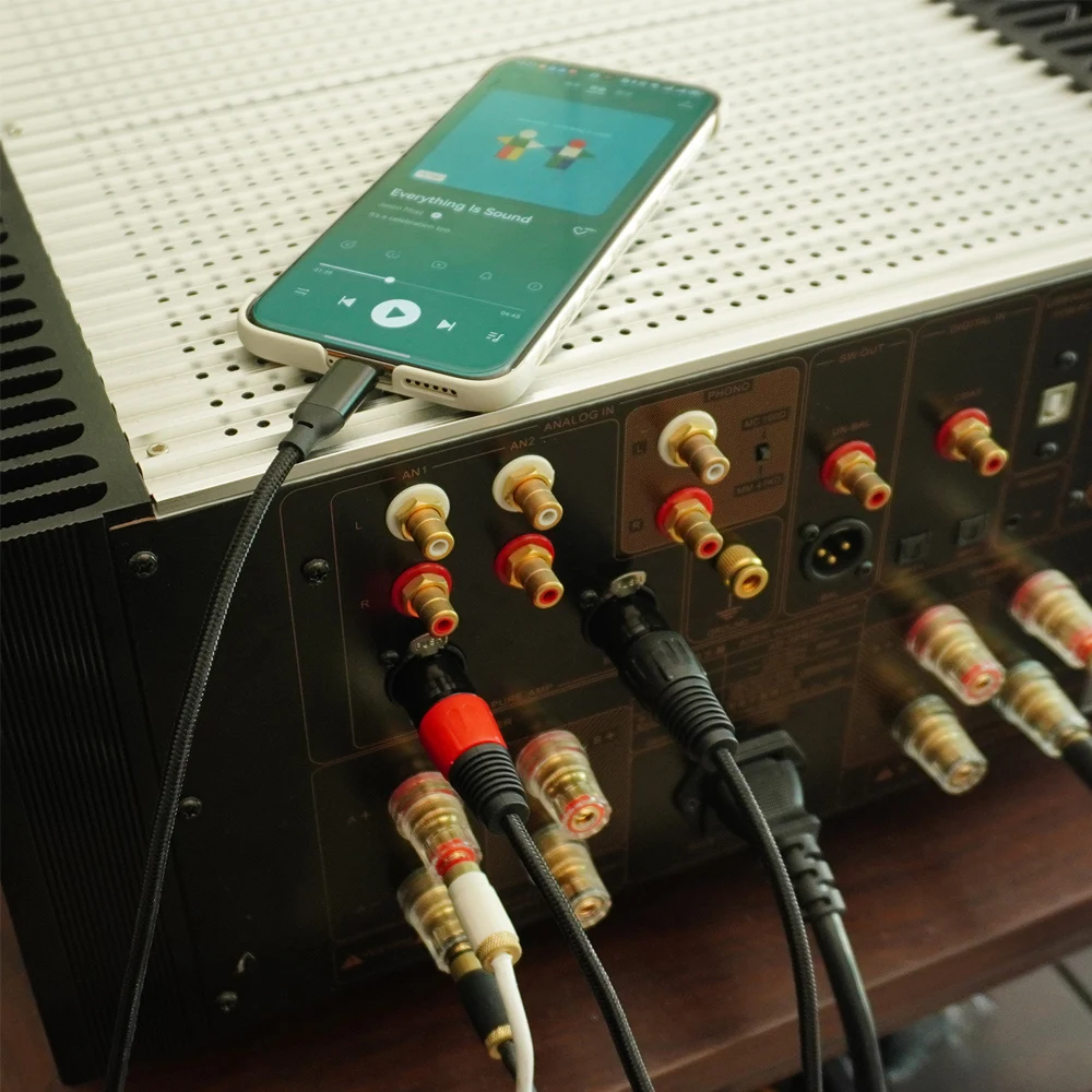 Amazon.co.jp: SZLliyxs USB C - デュアル XLR オーディオ