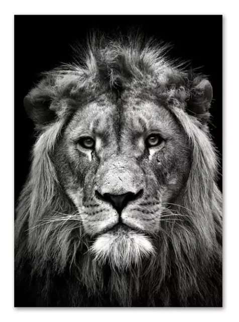 Black and White Animal Family Poster Lion Family Print Canvas Wall Art Modern Painting Picture Decor Bedroom Aesthetic Art 20