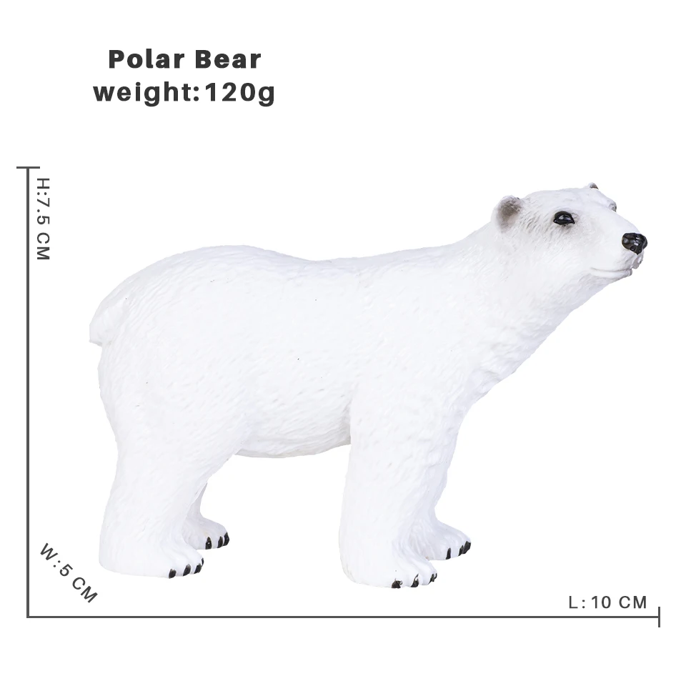 polar bear