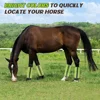 4Pcs Non Slip Horse Shoofly Leggings Breathable Comfortable Mesh Fly Leg Wraps Reusable Reduce Stomping Horse Fly Sheets 4