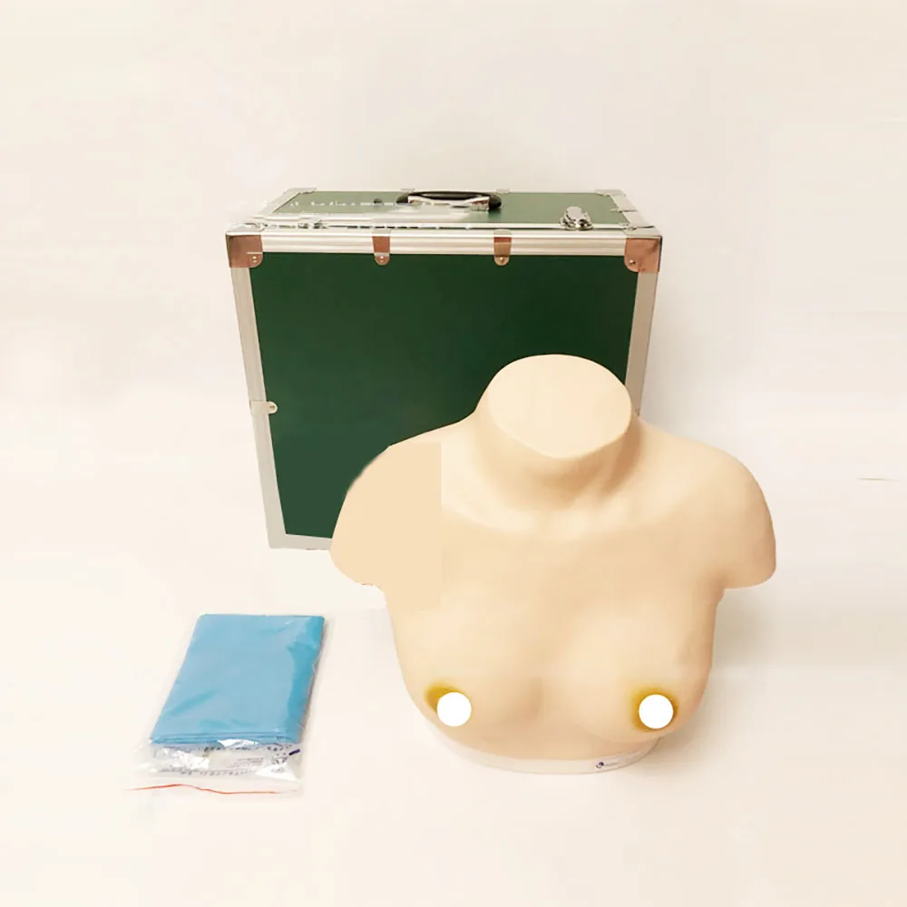 

Breast Visual and Palpation Models