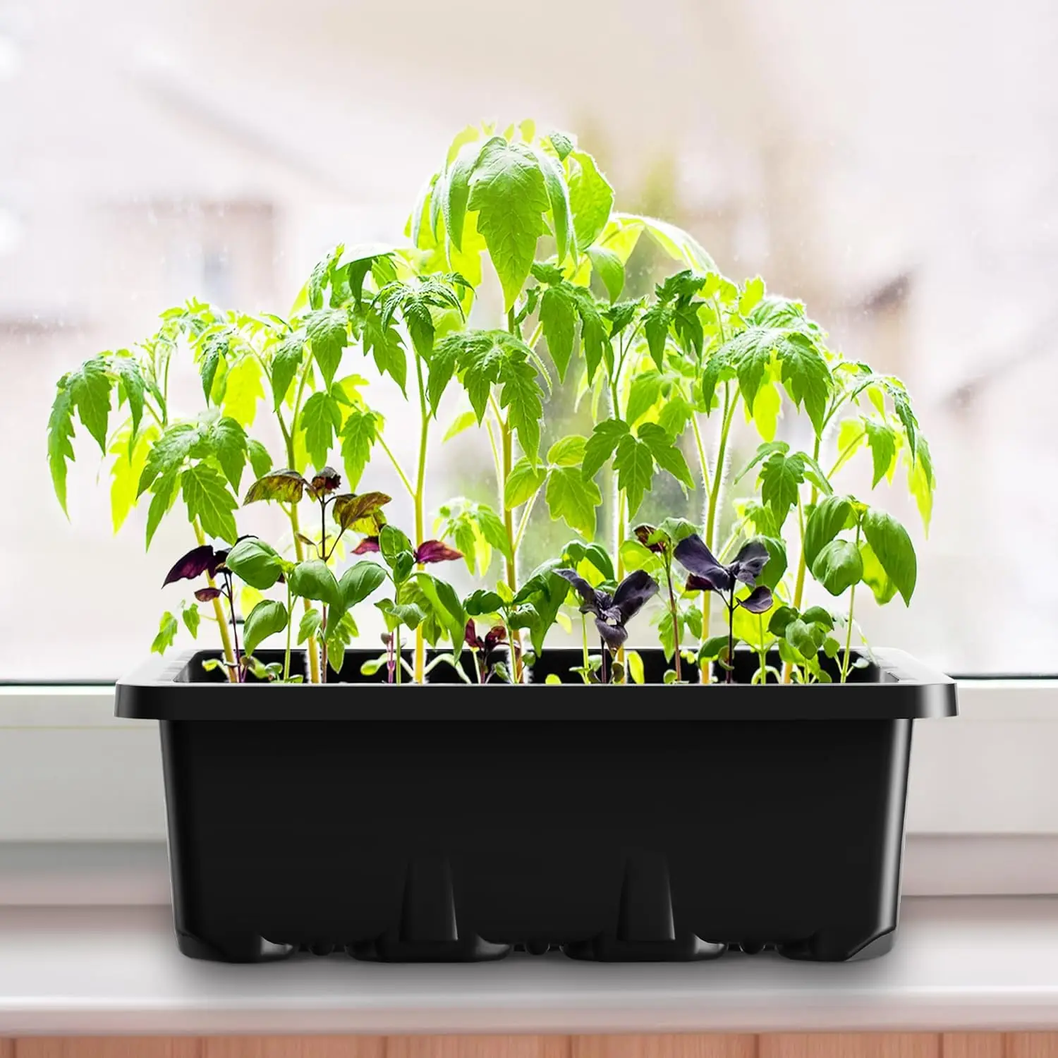 5 Pack Seed Starter Tray with Ventilation 5