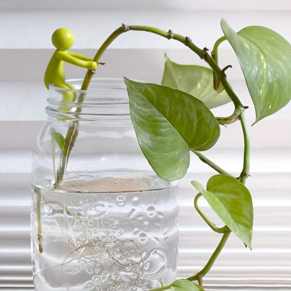 Indoor Plant Propagation Support Accessory – Nurture Buds, Stems & Cuttings for Thriving Indoor Gardens