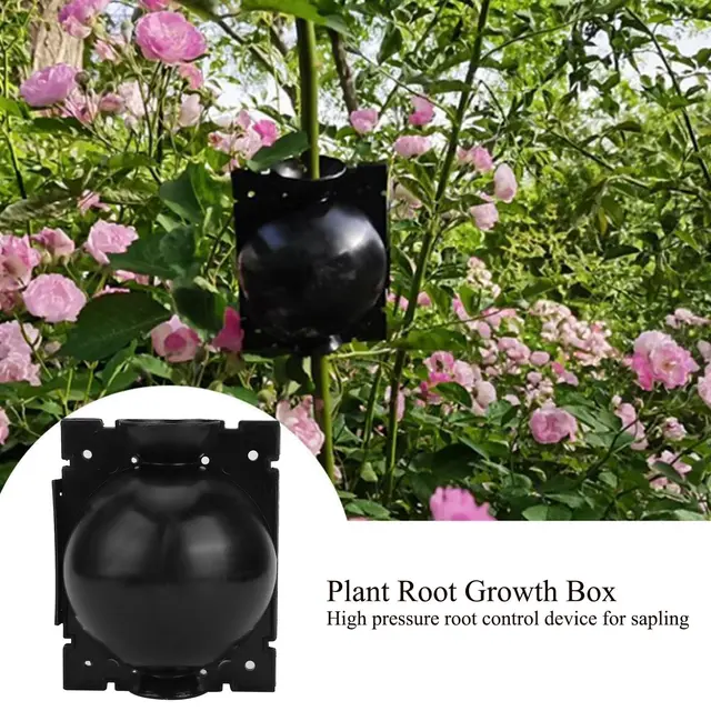 5Db Növényi Gyökérgyökérgömbök Nagynyomású Szaporodási Tenyésztési Markottage Tok Kerti Csemete Átmérője 7-12 Mm 12-31 - Image 3