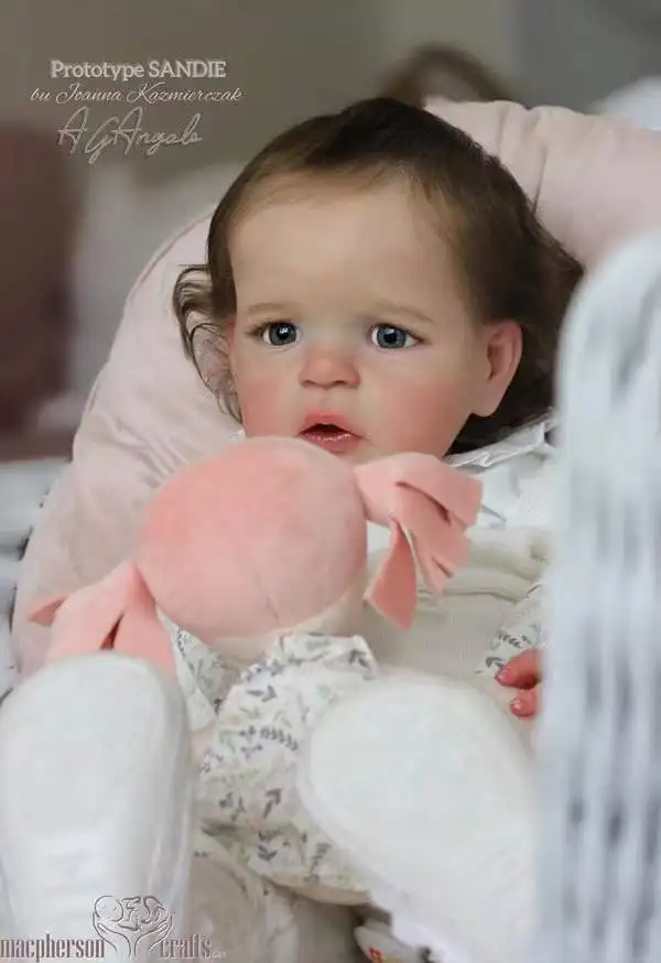 Fbbd 25inch Bebe Reborn Doll Kit Sandie Popular Rare Limited Sold Out