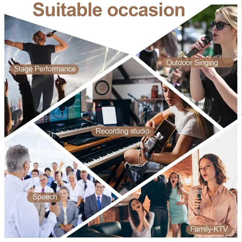 Рисунок 6 - Беспроводная микрофонная система