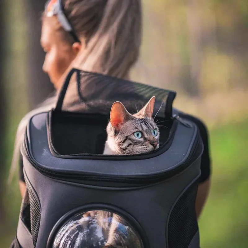 Fat Cat Backpack Carrier Denim Pet Backpack with Space Capsule Bubble for Small Medium Cats Puppy Dog for Travel Hiking Pet Carrier Backpack