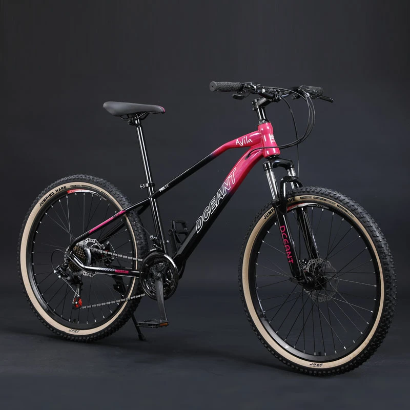 gunmetal grey mountain bike