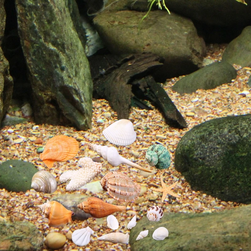 Aquarium Ornaments DIY Fish for Tank Decorations Mixed Seashells Sea Snail Coral Various Sizes up to 2.4" 55KF