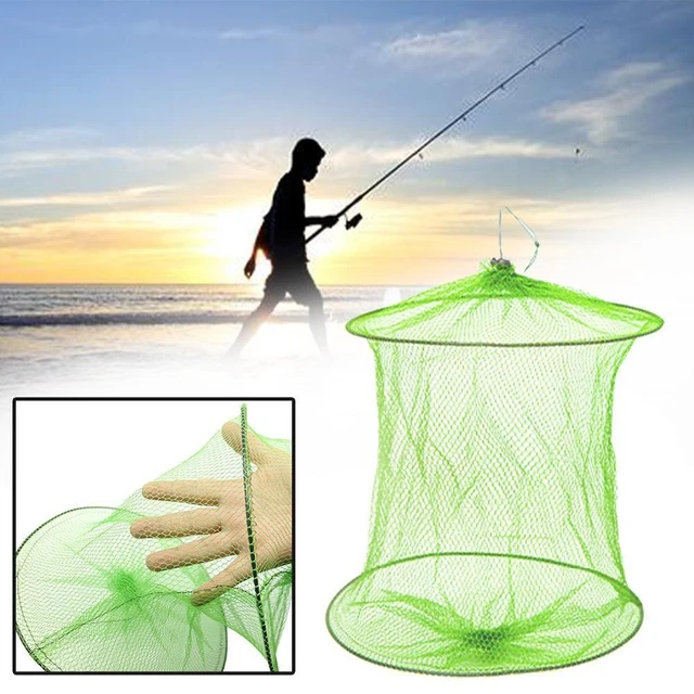 2 Layers Portable Fishing Net Fish Shrimp Mesh Cage Cast Net Fishing Trap  Network Foldable Fishing Net Tackle50 x 30cm - AliExpress